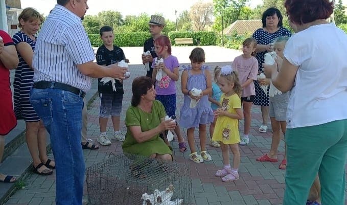Медиафайл