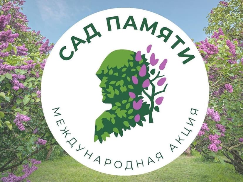 Медиафайл