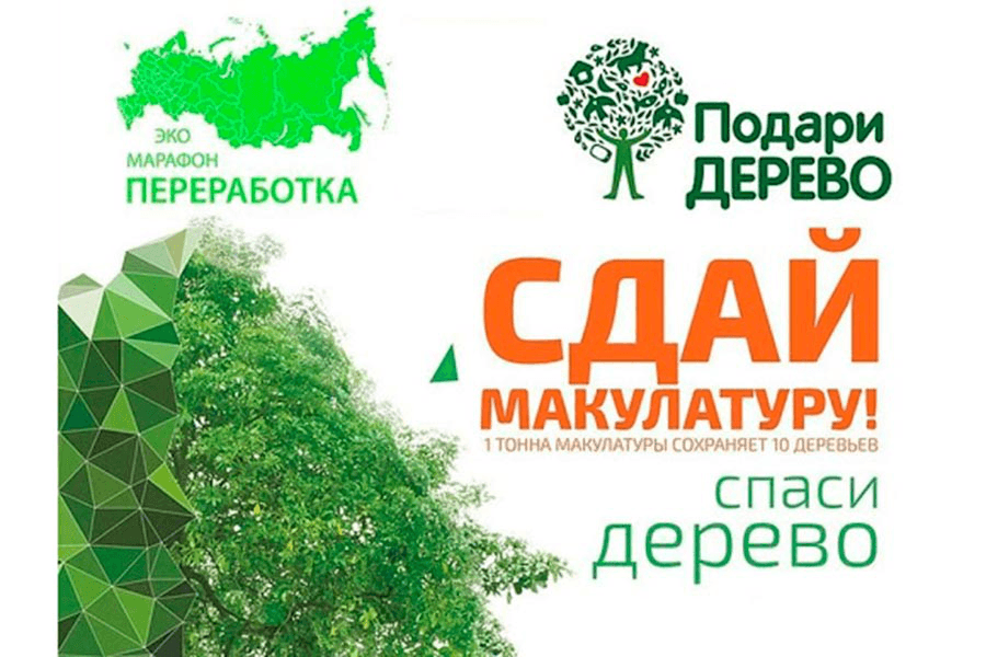 «Сдай макулатуру –спаси дерево!»
